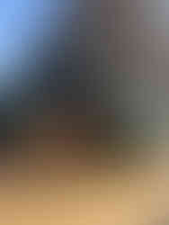 christmas stall in monaco