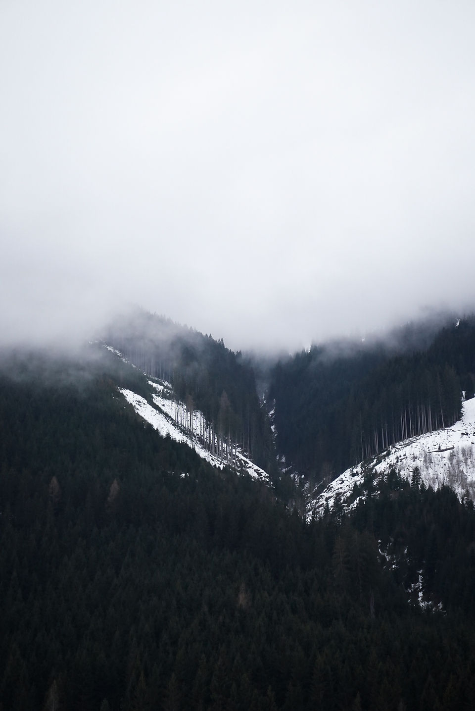 foggy mornings in the mountains of saalbach Austria