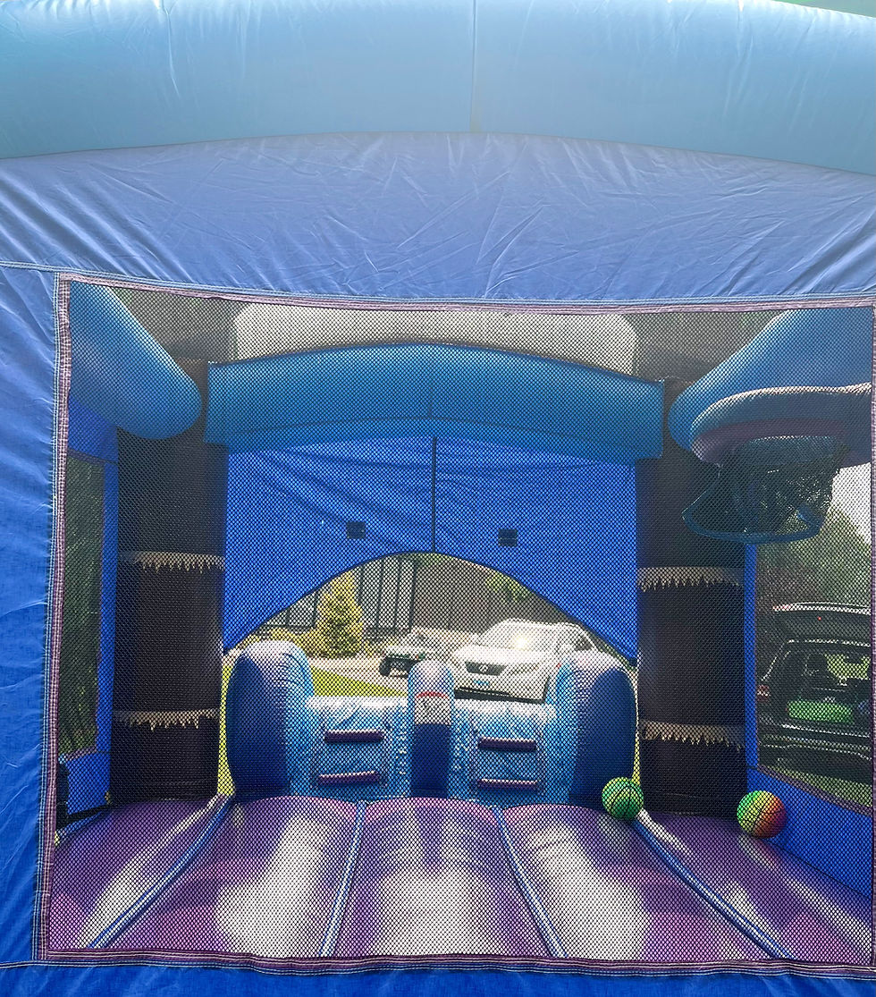 Thumbnail: Majestic Tropical Bouncy
