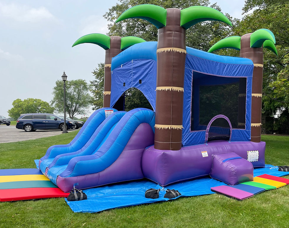 Thumbnail: Majestic Tropical Bouncy