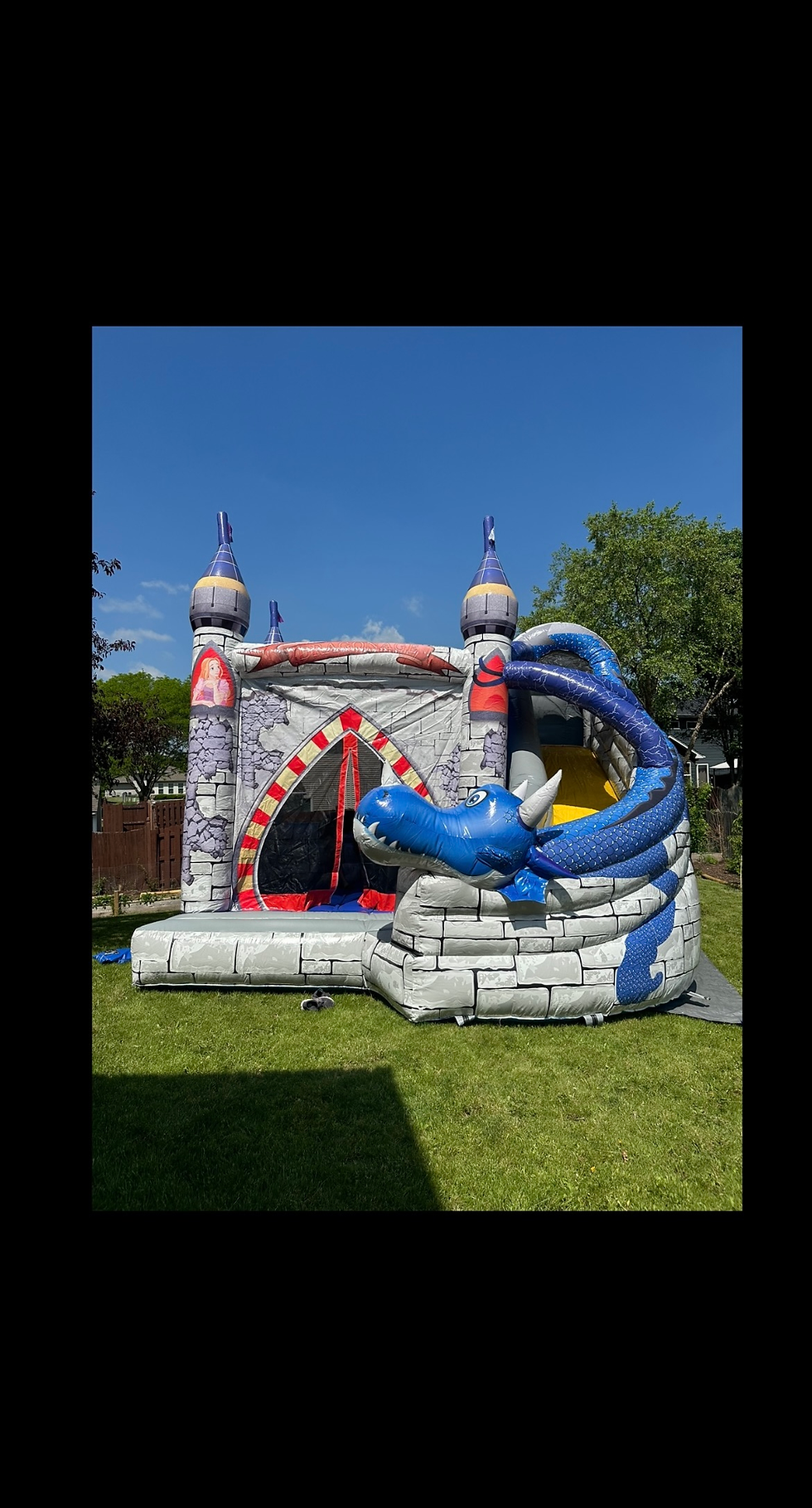Thumbnail: Medieval Dragon Castle