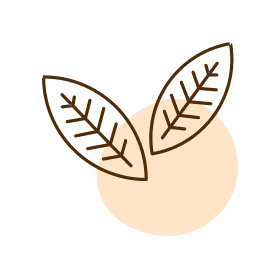 22673596_m.jpg