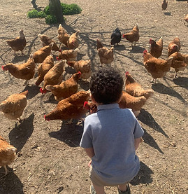 farm visits