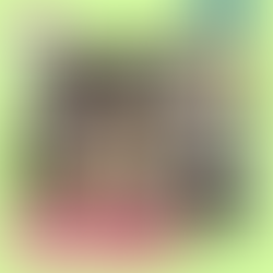 𓊆6/8 今日のケイリーオフィス𓊇 DCチームの合同研修