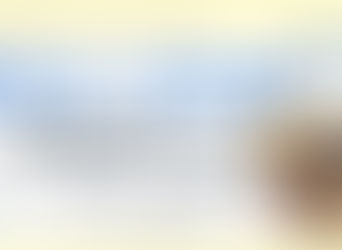 ✨女性のための2DAYs 仕事体験 第3弾✨