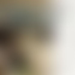 福島県の人口減少対策に向けて立ち上げられた「官民連携・共創チーム」代表の鷲谷がファシリテーターを務めました