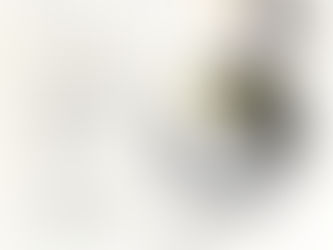 \✨新コミュニティ発足✨/