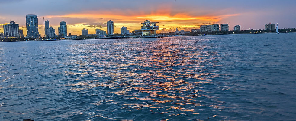 Dowtown St. Pete.jpg