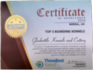 awards-c-300x224.png