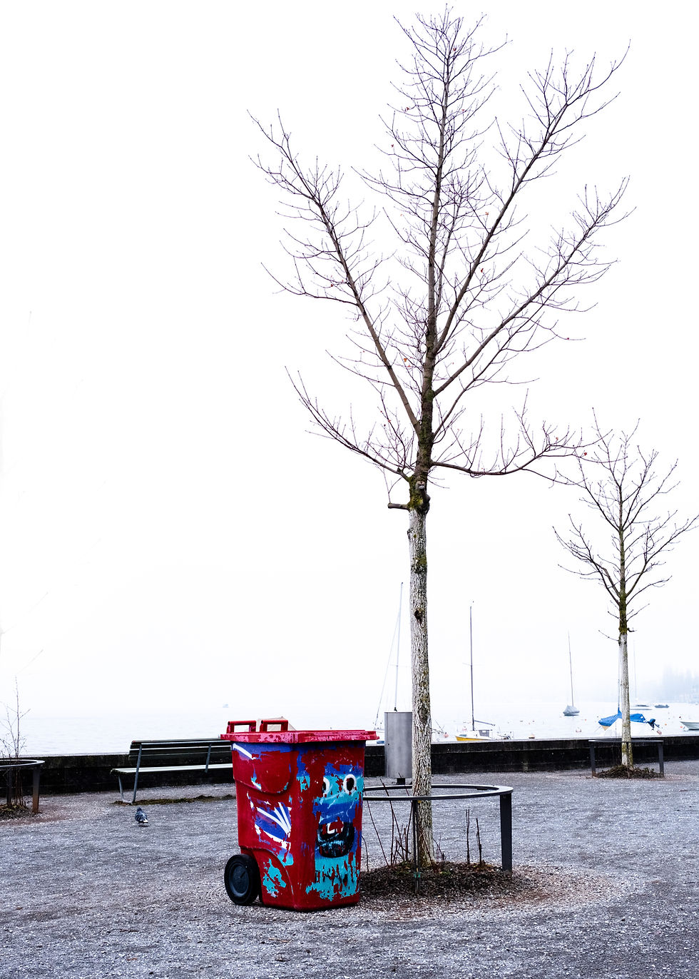 seesicht bürkliplattz-3.jpg