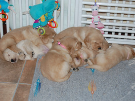 DSC_0822.JPG.jpeg