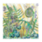 Fern Frog Fine Art Print
