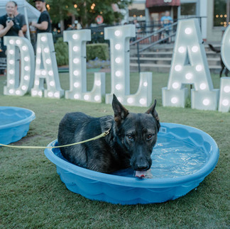 Dogs Day Out Dallas Georgia