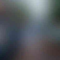 Dogs Day Out Dallas Georgia