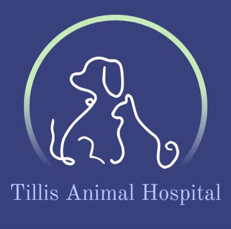 Tillis Animal Hospital