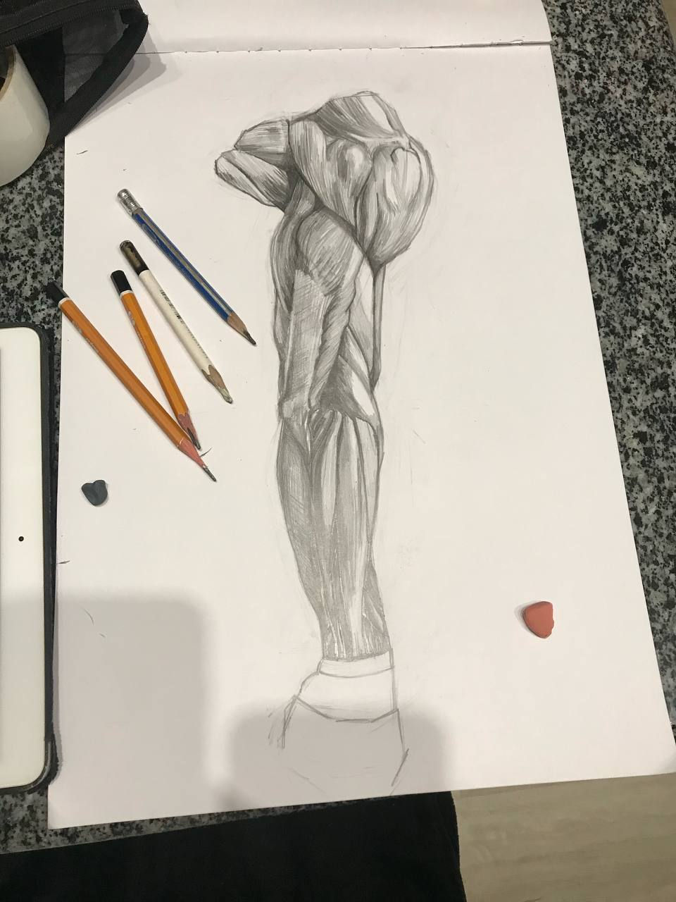 Anatomy 1, 2019