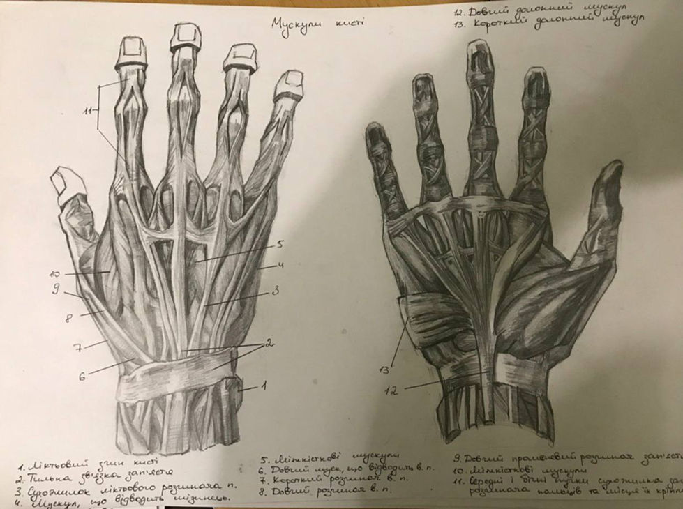 Anatomy 2, 2019