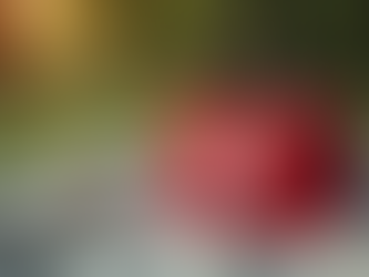 Essential Tips for a Safe Summer Visit to Sedona