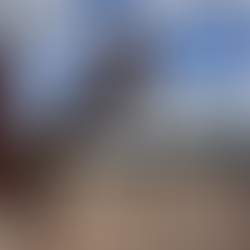 Where the wild things are