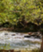 Oak Creek Canyon, a great area to cool off and relax!