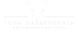 Web page logo