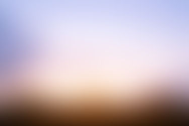 2022-й год и Закон Джунглей