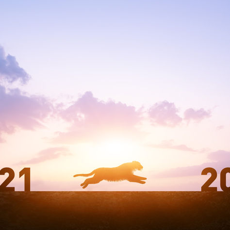 2022-й год и Закон Джунглей