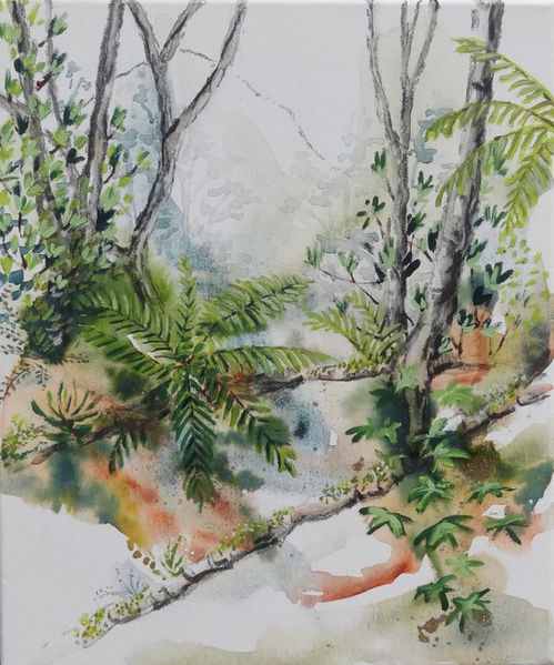 Forest, New Zealand, native b ush, 