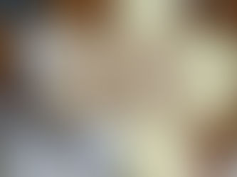 Paleografia e diplomática: ler, interpretar e escutar os documentos