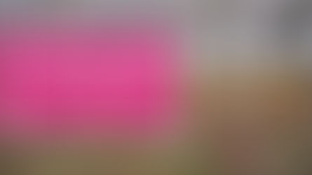 Прокуратура хоче повернути Замкову гору вінничанам