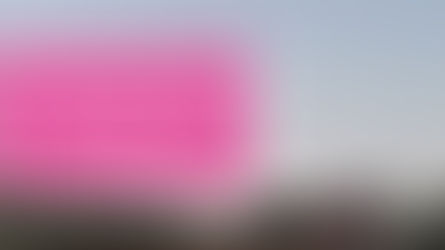 Вінницька міська рада незаконно уклала договір на встановлення флагштоку зі “своїми”