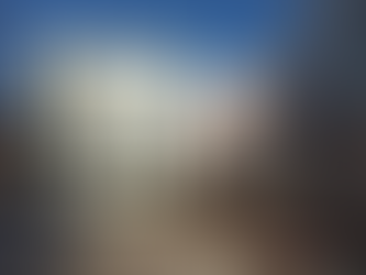 Як на Пирогова забудували двір: замість дерев - сухі туї, замість укриття - додаткова комерція