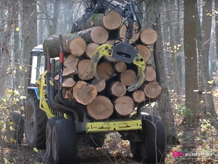 Хто вирізає вінницький Лісопарк?