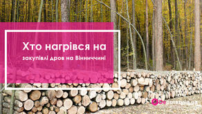Хто нагрівся на закупівлі дров на Вінниччині
