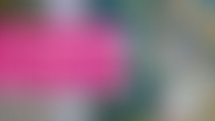 Міська рада дозволила здати на брухт десятирічні атракціони з парку і катер