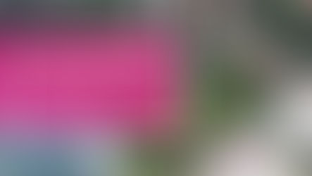 Вінничани ініціювали збір підписів за створення парку “Спартак”