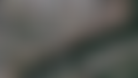 Наголосували : замість пляжу Спартак буде готель, замість старої приватної забудови - нові таунхаузи