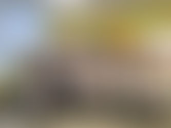 5 communities of the Odesa region were trained in project management within the framework of the «DECIDE:VIDBUDOVA» initiative