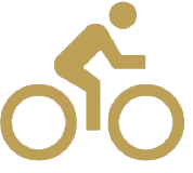fietsgoud.gif