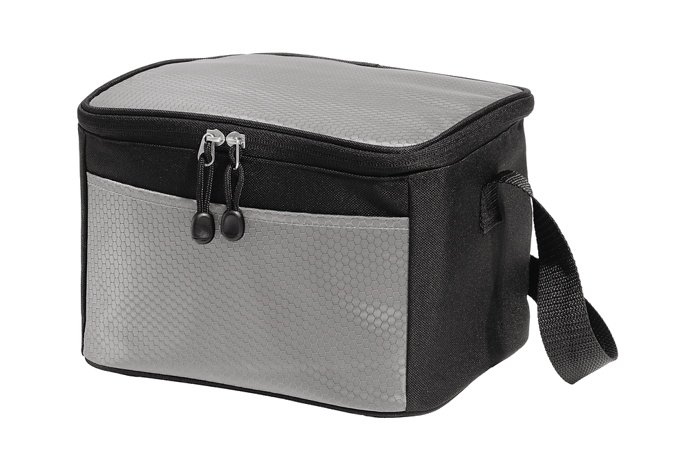 Thumbnail: BG517  Port Authority Dome Cooler