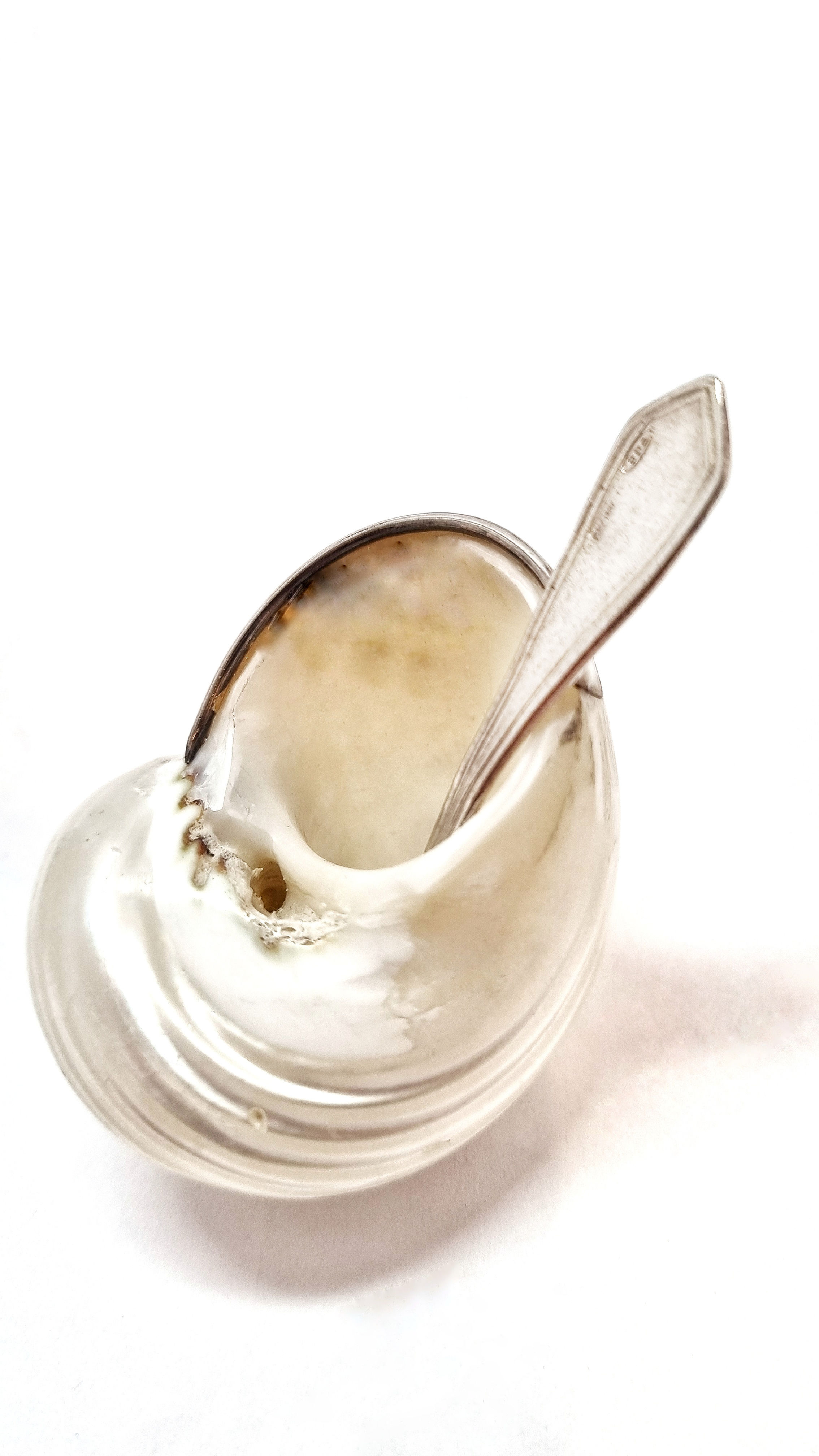 Shell and Silver salt holder