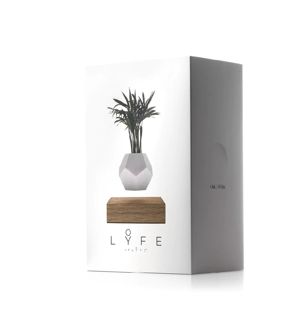 Thumbnail: FLYTE Lyfe Planter