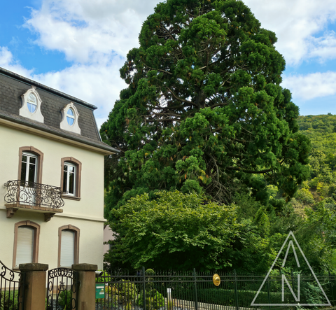 Route du Vin, Kaysersberg