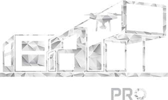 Immovideo Pro Logo