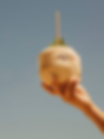 Screenshot 2026-03-19 at 12.39.19 AM.png