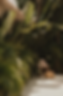 Screenshot 2026-03-19 at 1.30.32 AM.png