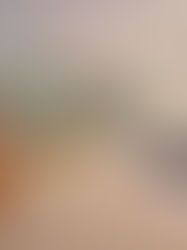 Private Room vs Private Apartment: Which HobKnob Stay Is Right for You?