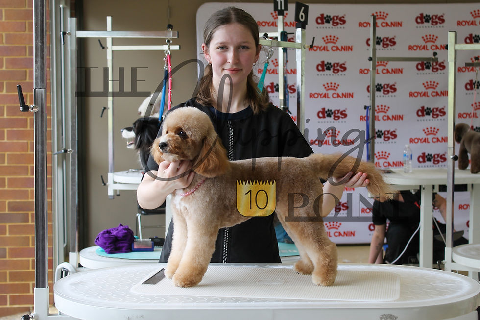 The Crumb 2026 Salon Freestyle — Photo 26