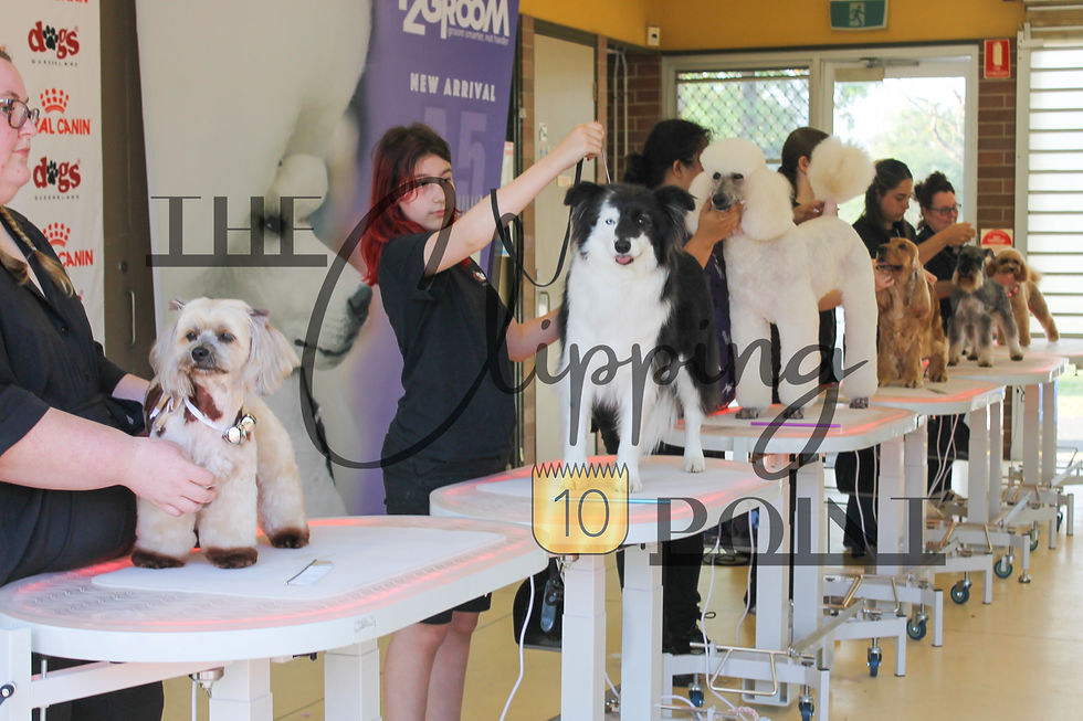 The Crumb 2026 Best in Show and Extras — Photo 11