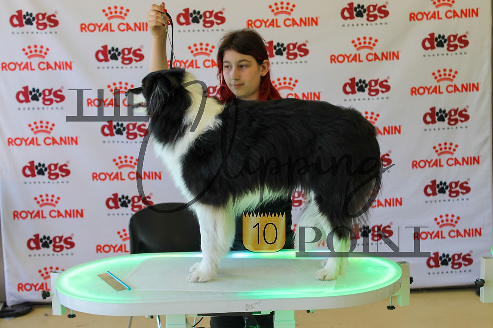 The Crumb 2026 Best in Show and Extras — Photo 6